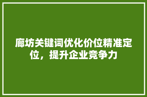 廊坊关键词优化价位精准定位，提升企业竞争力