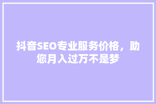 抖音SEO专业服务价格，助您月入过万不是梦
