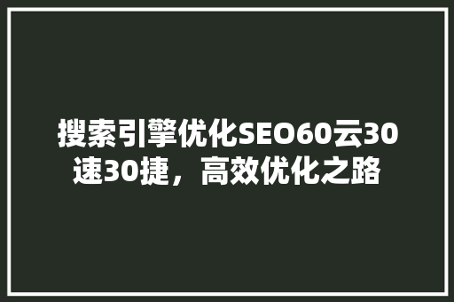 搜索引擎优化SEO60云30速30捷，高效优化之路