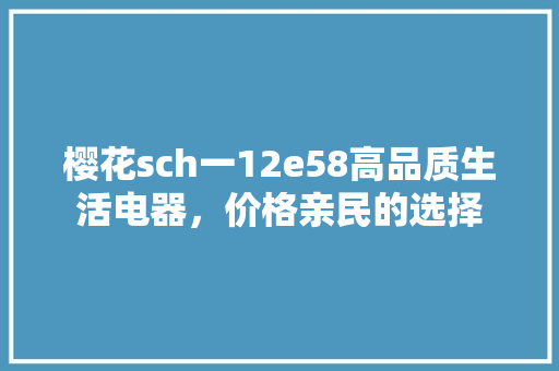 樱花sch一12e58高品质生活电器，价格亲民的选择