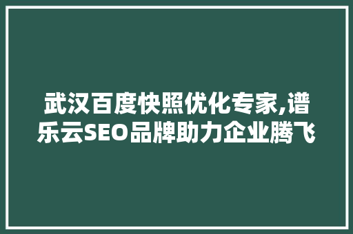 武汉百度快照优化专家,谱乐云SEO品牌助力企业腾飞