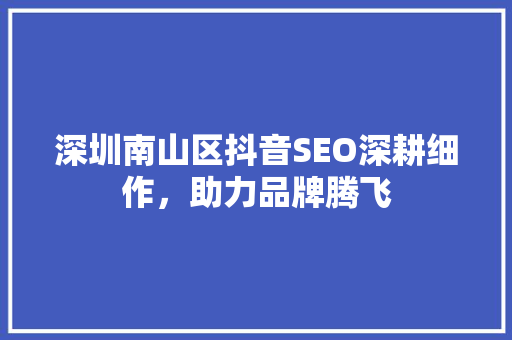 深圳南山区抖音SEO深耕细作，助力品牌腾飞