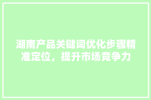 湖南产品关键词优化步骤精准定位，提升市场竞争力