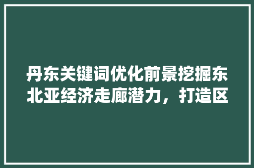 丹东关键词优化前景挖掘东北亚经济走廊潜力，打造区域发展新引擎_丹东关键词优化前景