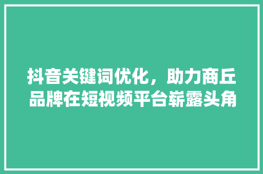 抖音关键词优化，助力商丘品牌在短视频平台崭露头角_商丘抖音关键词优化代理