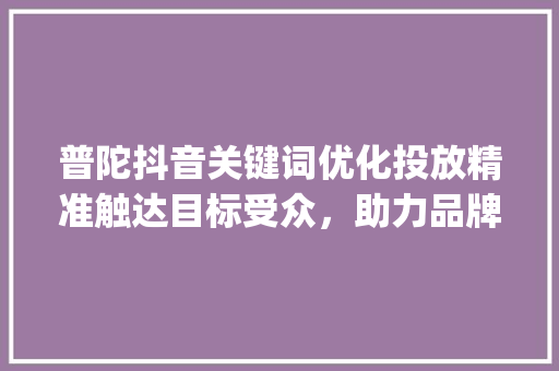 普陀抖音关键词优化投放精准触达目标受众，助力品牌腾飞_普陀抖音关键词优化投放