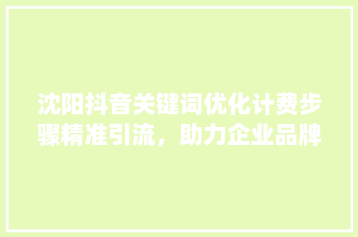 沈阳抖音关键词优化计费步骤精准引流，助力企业品牌腾飞_沈阳抖音关键词优化计费