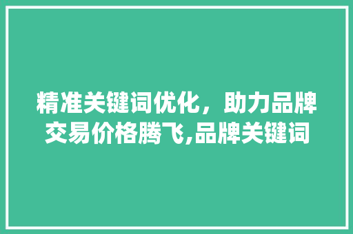 精准关键词优化，助力品牌交易价格腾飞,品牌关键词步骤与价格提升之路_品牌关键词优化交易价格