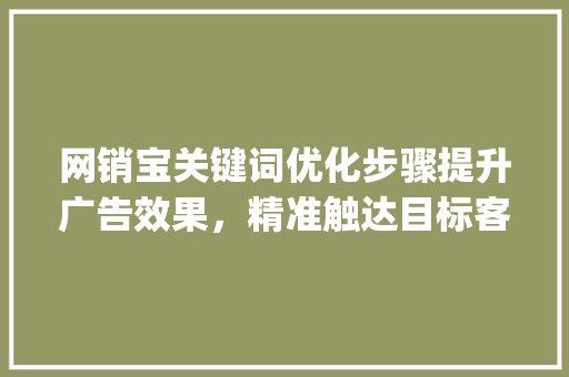 网销宝关键词优化步骤提升广告效果，精准触达目标客户_如何优化网销宝关键词