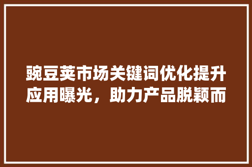 豌豆荚市场关键词优化提升应用曝光，助力产品脱颖而出_豌豆荚市场关键词优化