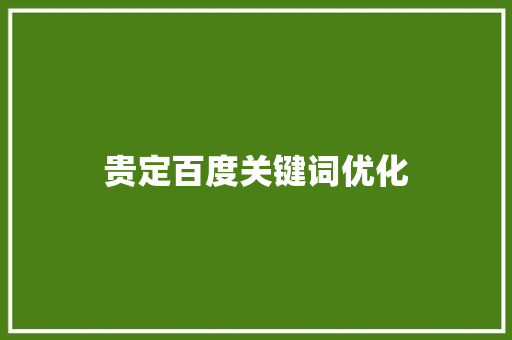 贵定百度关键词优化