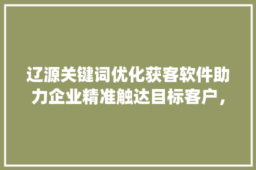 辽源关键词优化获客软件助力企业精准触达目标客户，提升营销效果_辽源关键词优化获客软件