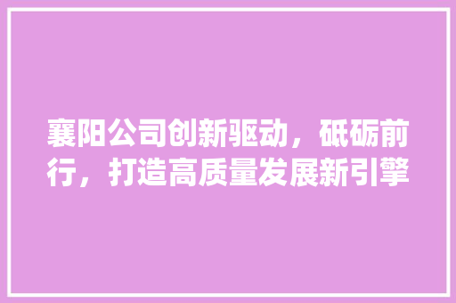 襄阳公司创新驱动，砥砺前行，打造高质量发展新引擎_襄阳公司网站关键词优化