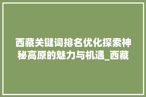 西藏关键词排名优化探索神秘高原的魅力与机遇_西藏关键词排名优化