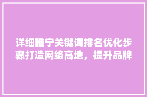 详细睢宁关键词排名优化步骤打造网络高地，提升品牌影响力_睢宁关键词排名优化