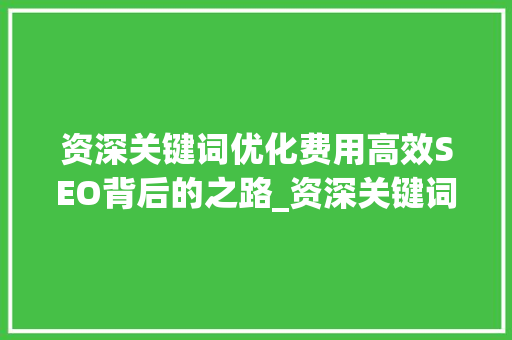 资深关键词优化费用高效SEO背后的之路_资深关键词优化费用