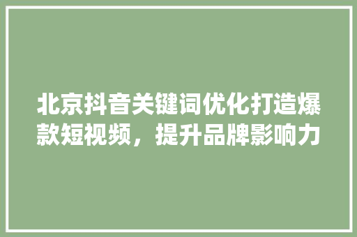 北京抖音关键词优化打造爆款短视频，提升品牌影响力_北京抖音关键词优化推广