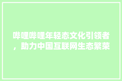 哔哩哔哩年轻态文化引领者，助力中国互联网生态繁荣_哔哩哔哩关键词优化
