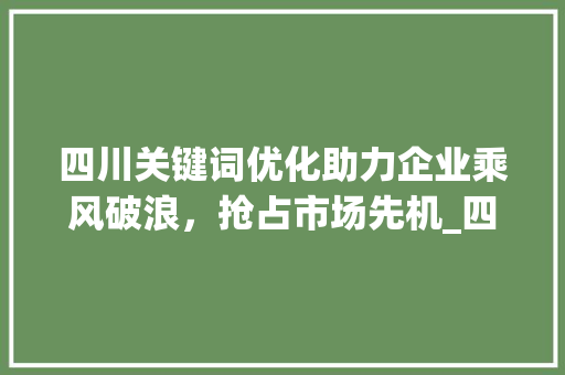 四川关键词优化助力企业乘风破浪，抢占市场先机_四川关键词优化公司