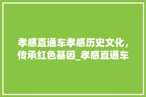 孝感直通车孝感历史文化，传承红色基因_孝感直通车关键词优化