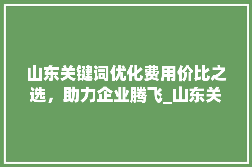 山东关键词优化费用价比之选，助力企业腾飞_山东关键词优化怎样收费