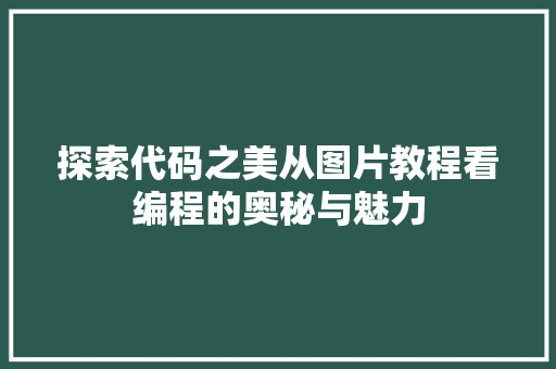 探索代码之美从图片教程看编程的奥秘与魅力