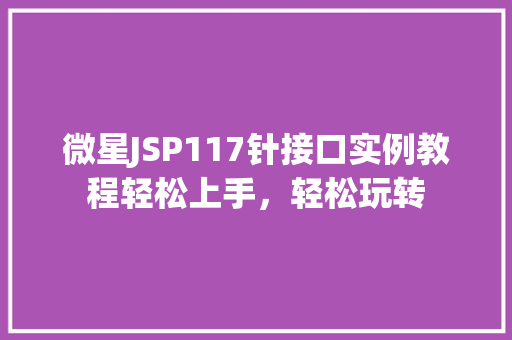 微星JSP117针接口实例教程轻松上手,轻松玩转 第1张 微星JSP117针接口实例教程轻松上手,轻松玩转 第1张