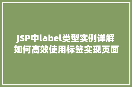 JSP中label类型实例详解如何高效使用标签实现页面优化