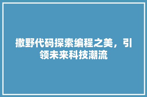 撒野代码探索编程之美，引领未来科技潮流
