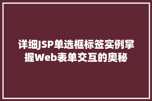 详细JSP单选框标签实例掌握Web表单交互的奥秘