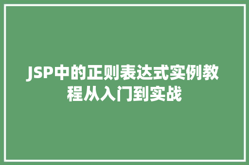 JSP中的正则表达式实例教程从入门到实战