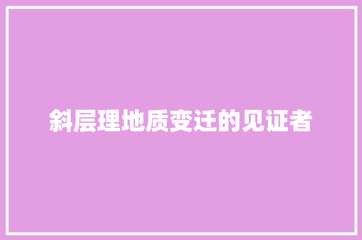 斜层理地质变迁的见证者
