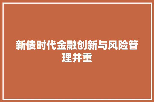 新债时代金融创新与风险管理并重