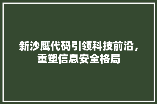 新沙鹰代码引领科技前沿，重塑信息安全格局
