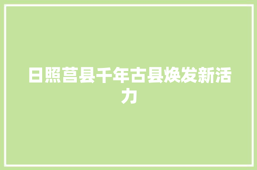 日照莒县千年古县焕发新活力