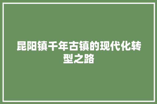 昆阳镇千年古镇的现代化转型之路