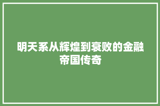 明天系从辉煌到衰败的金融帝国传奇
