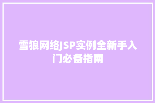 雪狼网络JSP实例全新手入门必备指南