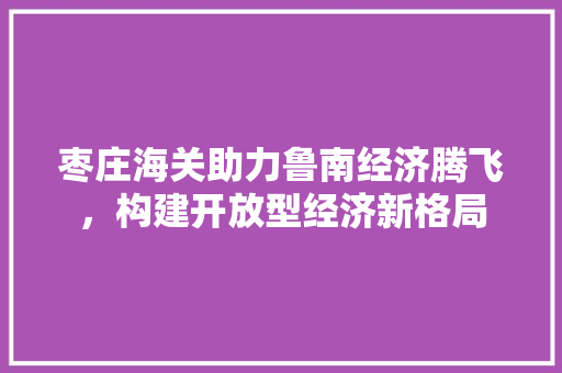 枣庄海关助力鲁南经济腾飞，构建开放型经济新格局