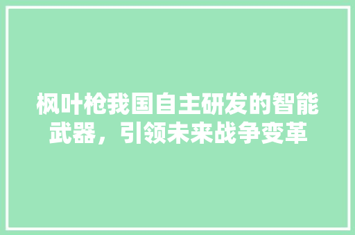 枫叶枪我国自主研发的智能武器，引领未来战争变革