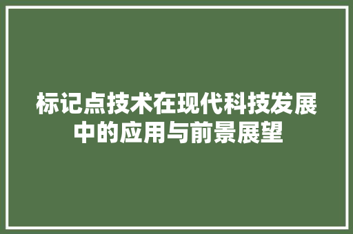 标记点技术在现代科技发展中的应用与前景展望