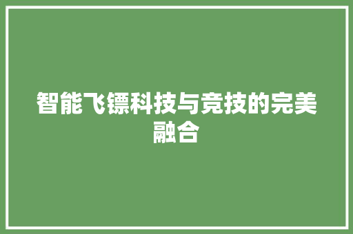 智能飞镖科技与竞技的完美融合