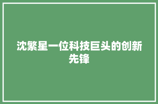 沈繁星一位科技巨头的创新先锋