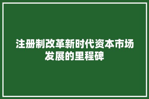 注册制改革新时代资本市场发展的里程碑