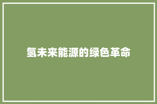 氢未来能源的绿色革命