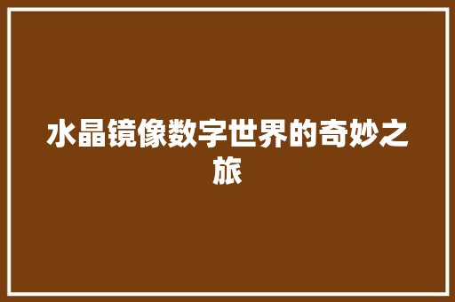 水晶镜像数字世界的奇妙之旅