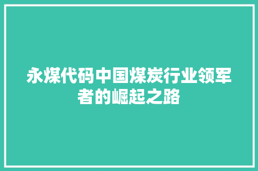 永煤代码中国煤炭行业领军者的崛起之路