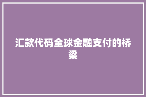 汇款代码全球金融支付的桥梁