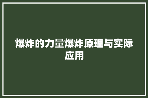 爆炸的力量爆炸原理与实际应用