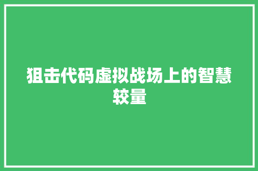 狙击代码虚拟战场上的智慧较量